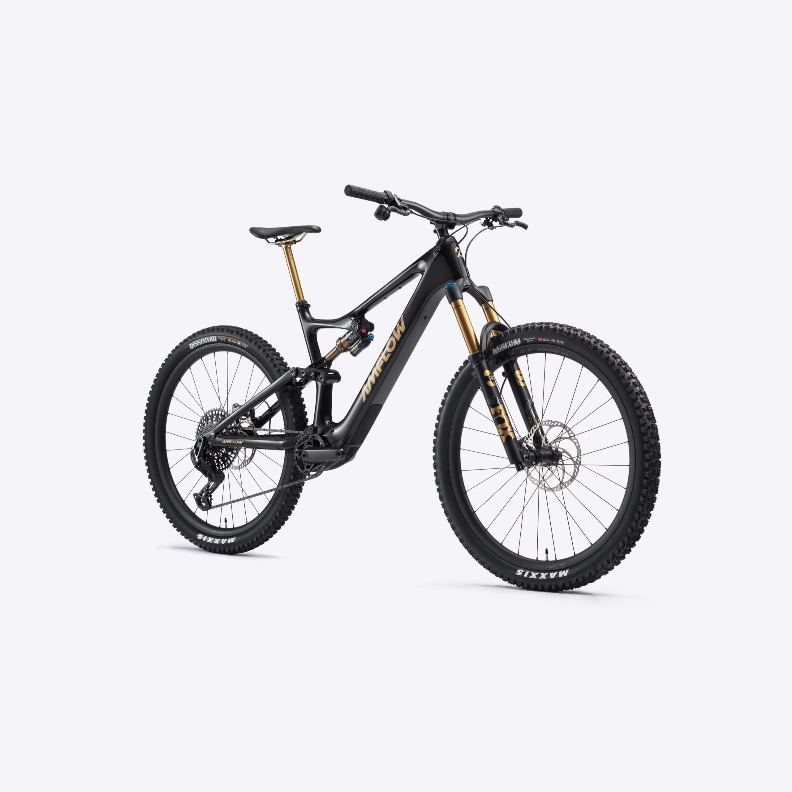 Amflow PL Carbon Pro E-Mountainbike – 800 Wh – Bild 2