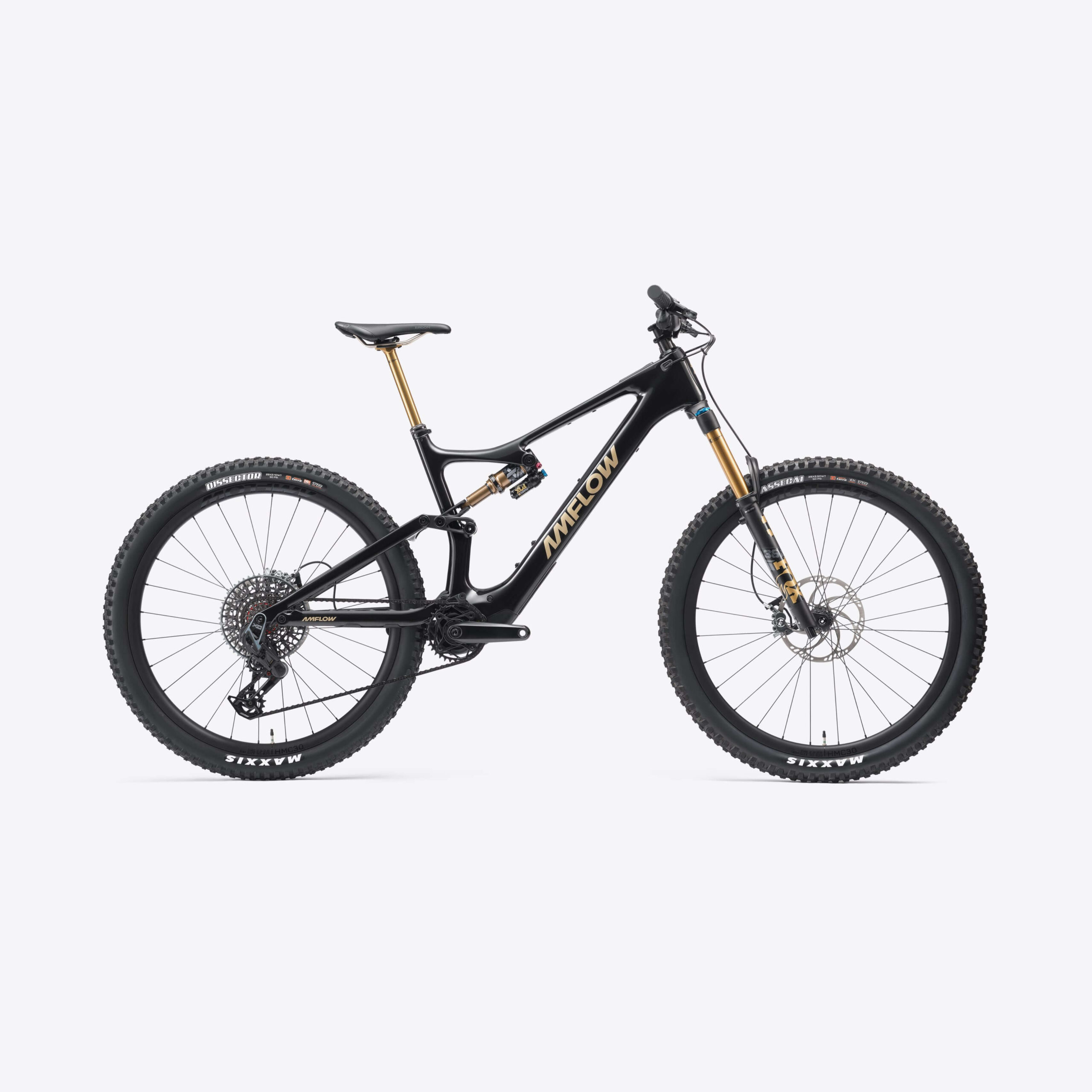 Amflow PL Carbon Pro E-Mountainbike – 800 Wh