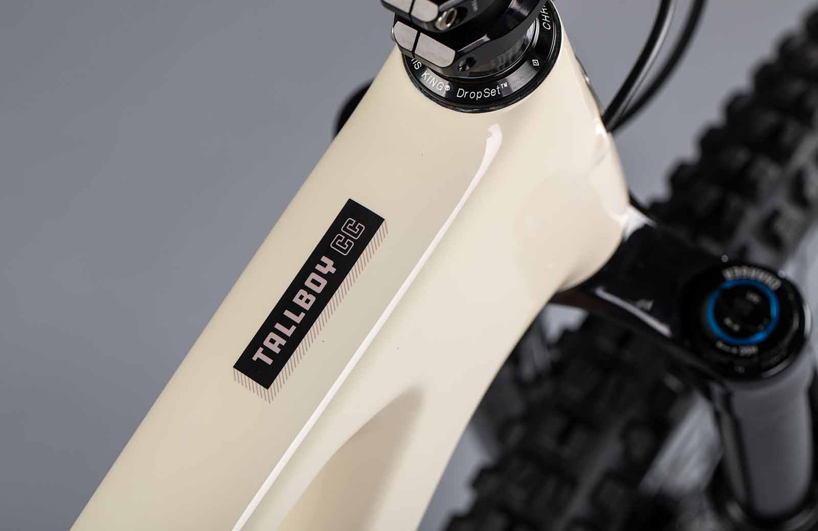 Santa Cruz Tallboy 2021 Mountainbike – Bild 8